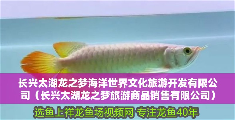 長興太湖龍之夢海洋世界文化旅游開發(fā)有限公司（長興太湖龍之夢旅游商品銷售有限公司）