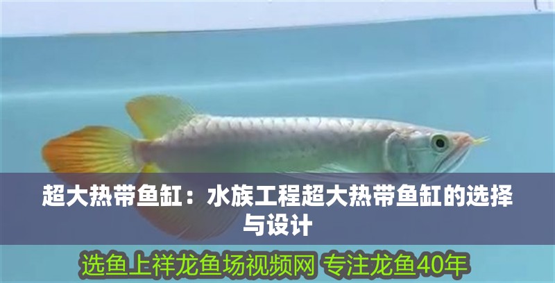 超大熱帶魚缸：水族工程超大熱帶魚缸的選擇與設計