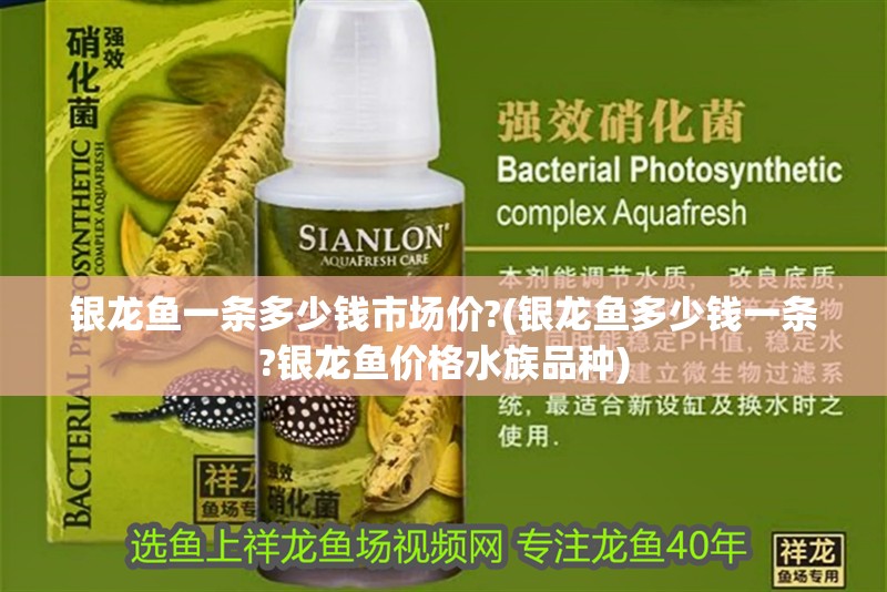 給大魚缸換水的頻率是固定的,而是需要根據多種因素來確定:給大魚缸換水的頻率不是固定的,而是需要根據多種因素來確定 銀龍魚一條多少錢市場價?(銀龍魚多少錢一條?銀龍魚價格水族品種) 銀龍魚百科 銀龍魚一條多少錢市場價?(銀龍魚多少錢一條?銀龍魚價格水族品種) 銀龍魚一條多少錢市場價?(銀龍魚多少錢一條?銀龍魚價格水族品種) 銀龍魚百科