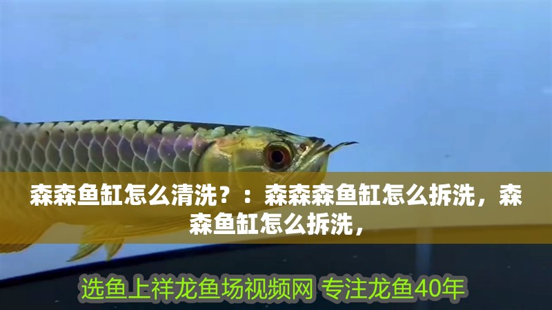 森森魚缸怎么清洗？：森森森魚缸怎么拆洗，森森魚缸怎么拆洗，