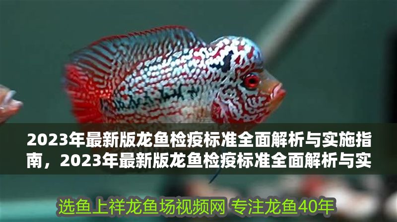 2023年最新版龍魚檢疫標準全面解析與實施指南，2023年最新版龍魚檢疫標準全面解析與實施指南