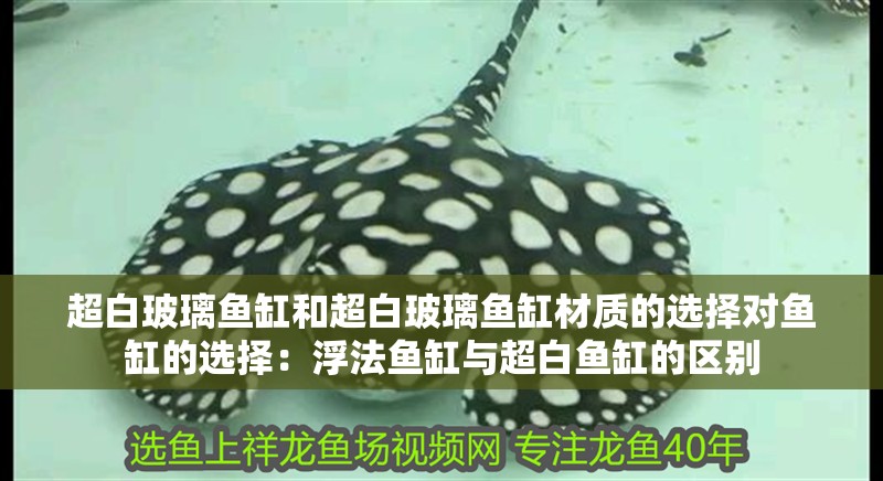 超白玻璃魚缸和超白玻璃魚缸材質的選擇對魚缸的選擇：浮法魚缸與超白魚缸的區別