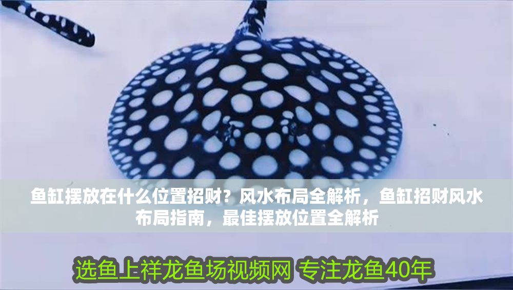 魚缸擺放在什么位置招財？風水布局全解析，魚缸招財風水布局指南，最佳擺放位置全解析
