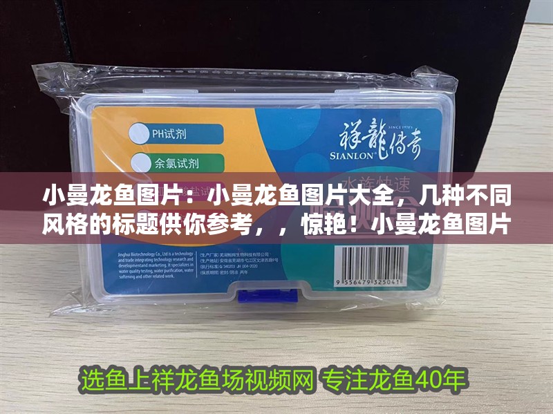 小曼龍魚圖片：小曼龍魚圖片大全，幾種不同風格的標題供你參考，，驚艷！小曼龍魚圖片全收錄，暢覽小曼龍魚絕美圖片大全，聚焦小曼龍魚，海量高清圖片集