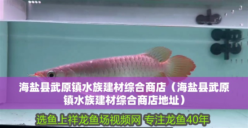 海鹽縣武原鎮水族建材綜合商店（海鹽縣武原鎮水族建材綜合商店地址） 海鹽縣武原鎮水族建材綜合商店（海鹽縣武原鎮水族建材綜合商店地址） 全國水族館企業名錄 第2張