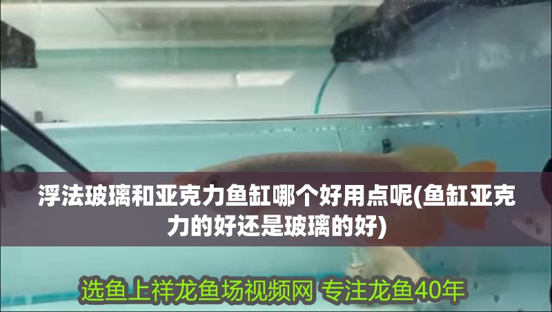 浮法玻璃和亞克力魚缸哪個好用點呢(魚缸亞克力的好還是玻璃的好)