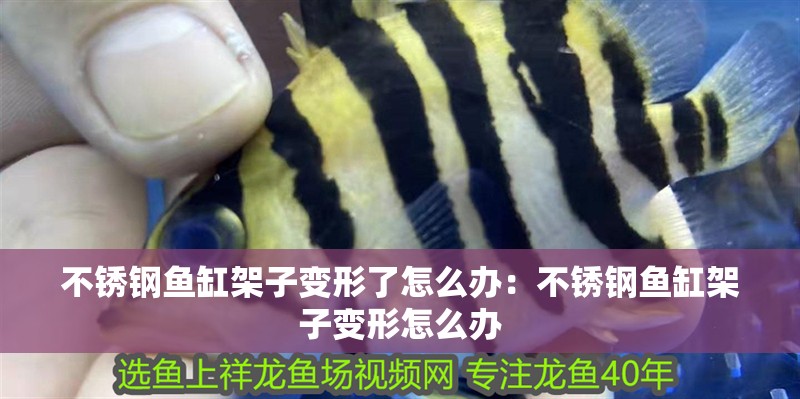 不銹鋼魚缸架子變形了怎么辦：不銹鋼魚缸架子變形怎么辦