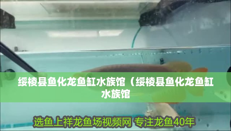 綏棱縣魚化龍魚缸水族館（綏棱縣魚化龍魚缸水族館