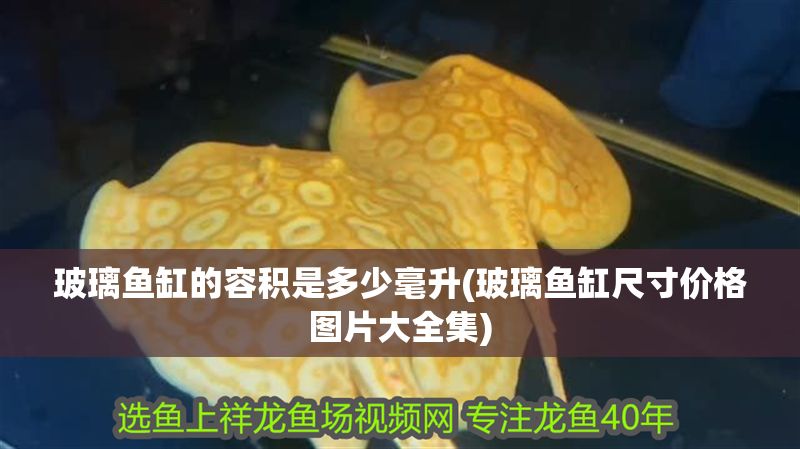 玻璃魚缸的容積是多少毫升(玻璃魚缸尺寸價格圖片大全集)