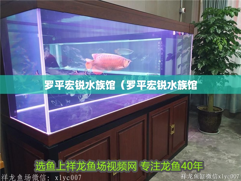 羅平宏銳水族館（羅平宏銳水族館