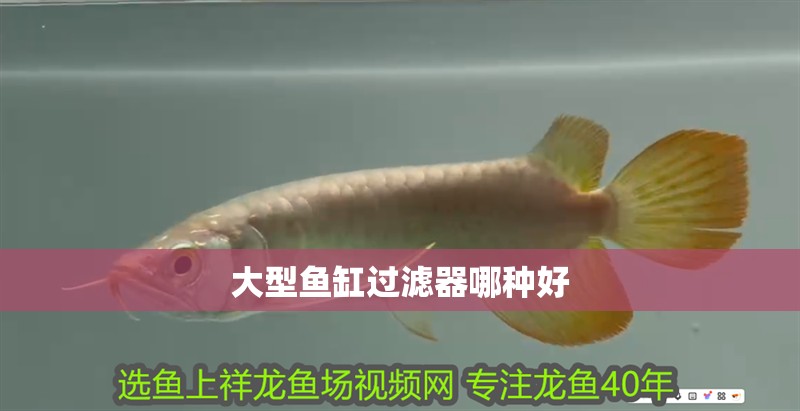 大型魚缸過濾器哪種好