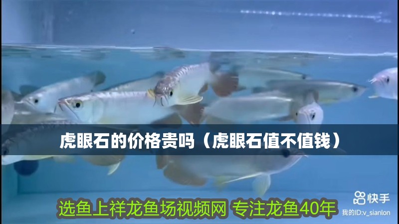 虎眼石的價格貴嗎（虎眼石值不值錢）