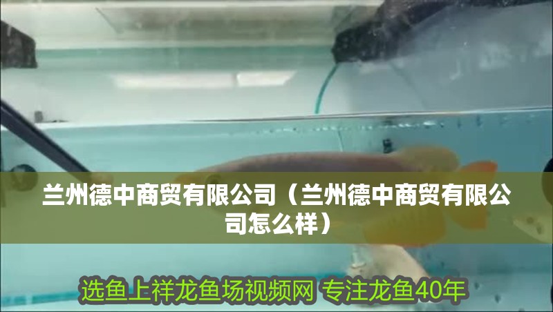 蘭州德中商貿(mào)有限公司（蘭州德中商貿(mào)有限公司怎么樣）