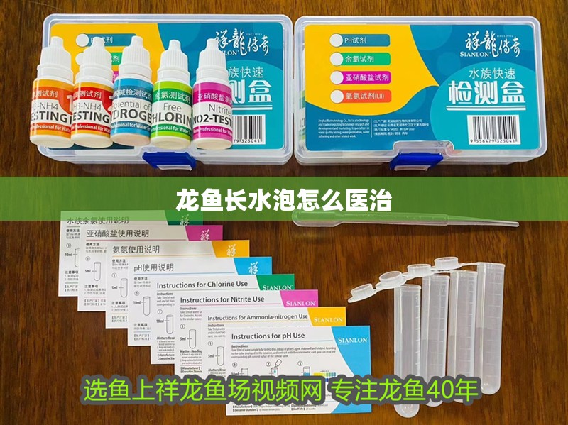 龍魚長水泡怎么醫治