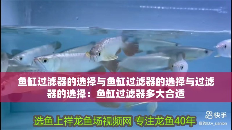 魚缸過濾器的選擇與魚缸過濾器的選擇與過濾器的選擇：魚缸過濾器多大合適