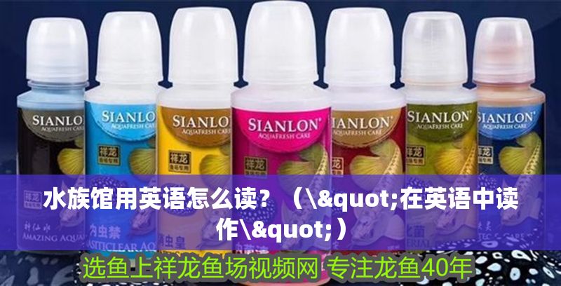 水族館用英語怎么讀?(\"在英語中讀作\") 水族館百科(水族館加盟) 第1張 水族館用英語怎么讀?(\"在英語中讀作\") 水族館用英語怎么讀?(\"在英語中讀作\") 水族館百科(水族館加盟) 第1張