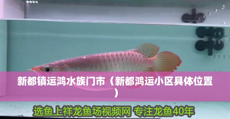 新都鎮運鴻水族門市（新都鴻運小區具體位置）