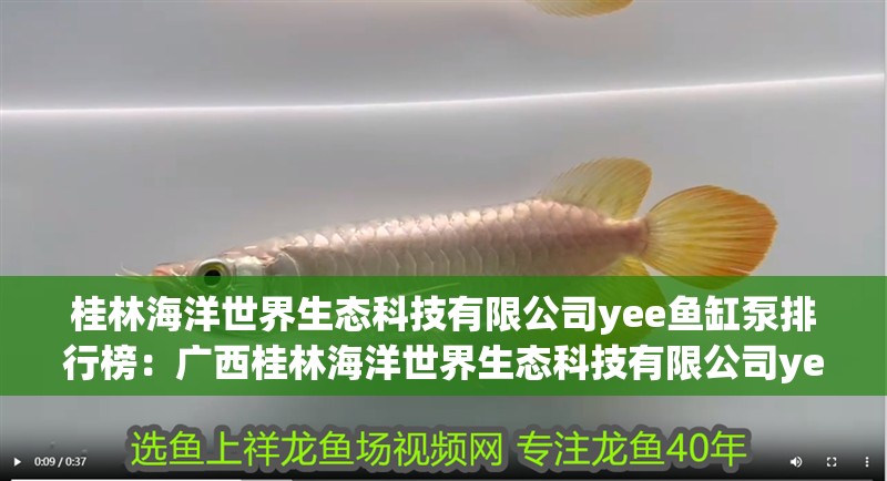桂林海洋世界生態(tài)科技有限公司yee魚缸泵排行榜：廣西桂林海洋世界生態(tài)科技有限公司yee魚缸排行榜