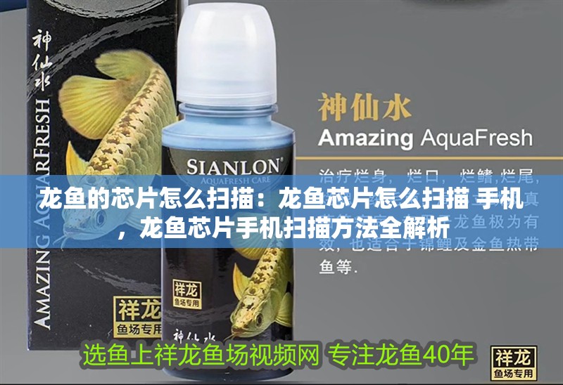 龍魚的芯片怎么掃描：龍魚芯片怎么掃描 手機(jī)，龍魚芯片手機(jī)掃描方法全解析