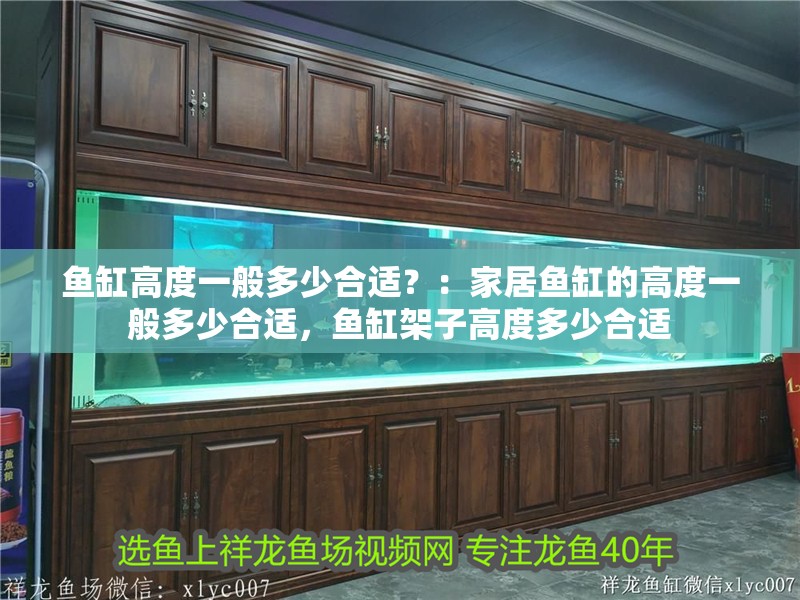 魚缸高度一般多少合適？：家居魚缸的高度一般多少合適，魚缸架子高度多少合適