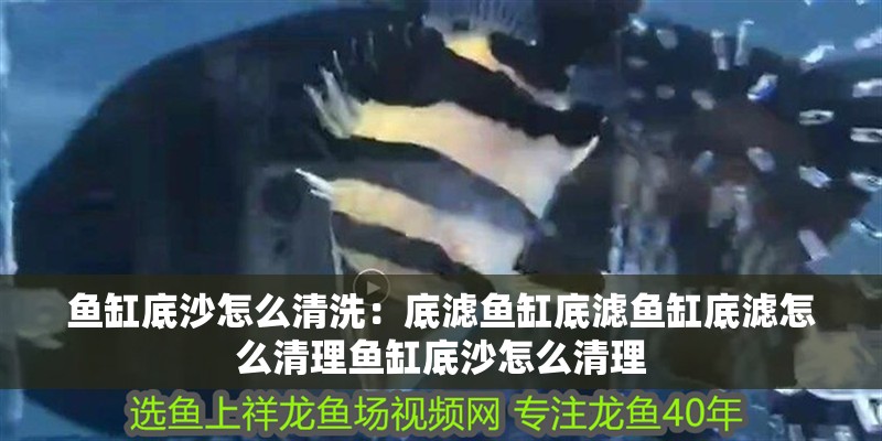魚缸底沙怎么清洗：底濾魚缸底濾魚缸底濾怎么清理魚缸底沙怎么清理