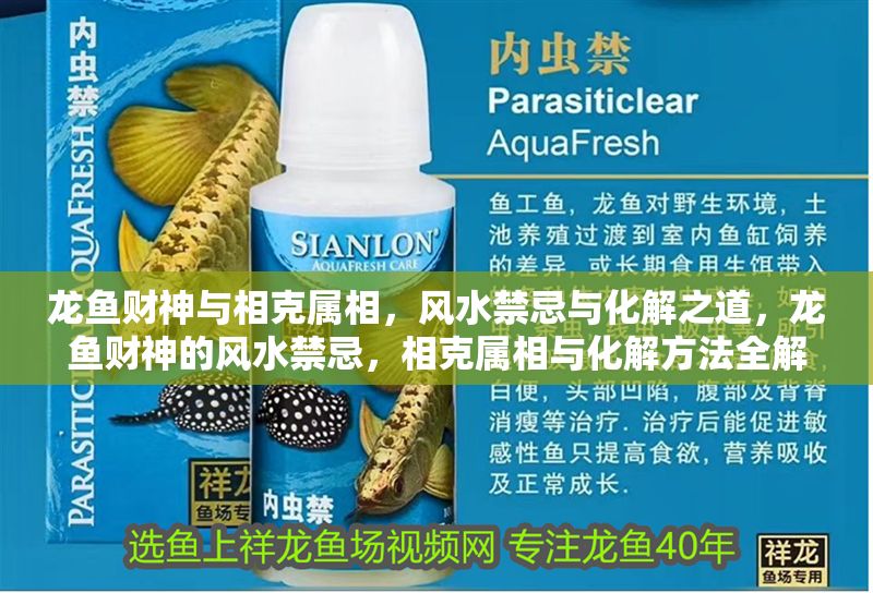 龍魚財神與相克屬相，風(fēng)水禁忌與化解之道，龍魚財神的風(fēng)水禁忌，相克屬相與化解方法全解析