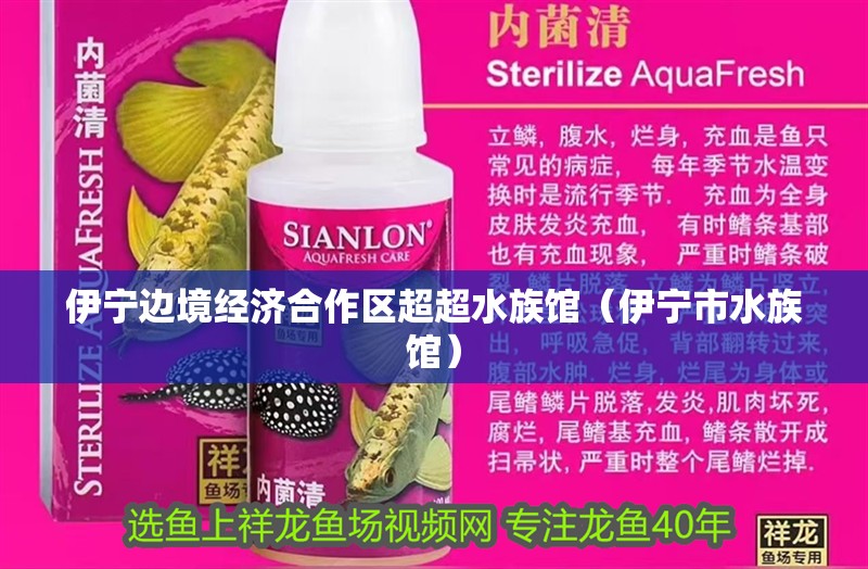 伊寧邊境經濟合作區超超水族館（伊寧市水族館）