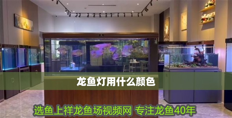 龍魚燈用什么顏色
