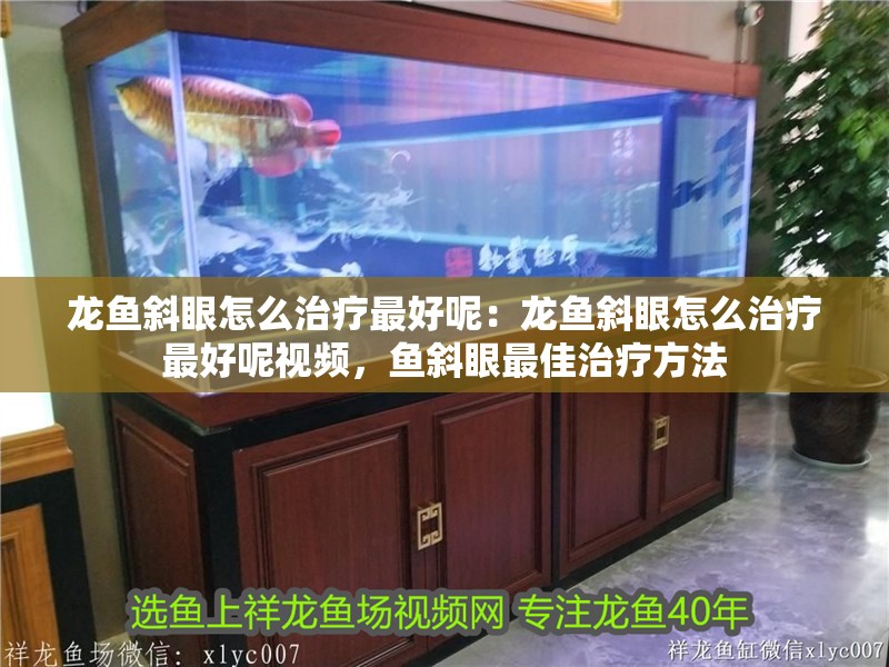 龍魚斜眼怎么治療最好呢：龍魚斜眼怎么治療最好呢視頻，魚斜眼最佳治療方法