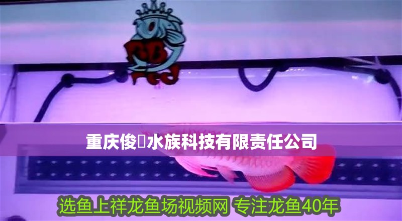重慶俊橦水族科技有限責任公司