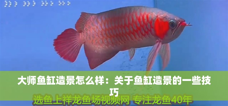 大師魚缸造景怎么樣：關于魚缸造景的一些技巧