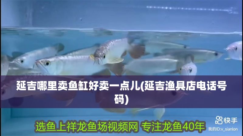 延吉哪里賣(mài)魚(yú)缸好賣(mài)一點(diǎn)兒(延吉漁具店電話(huà)號(hào)碼)