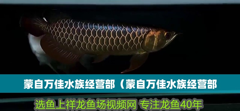 蒙自萬佳水族經(jīng)營部（蒙自萬佳水族經(jīng)營部