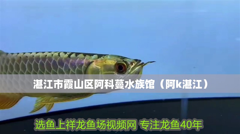 湛江市霞山區阿科蔓水族館（阿k湛江） 湛江市霞山區阿科蔓水族館（阿k湛江） 全國水族館企業名錄 第2張
