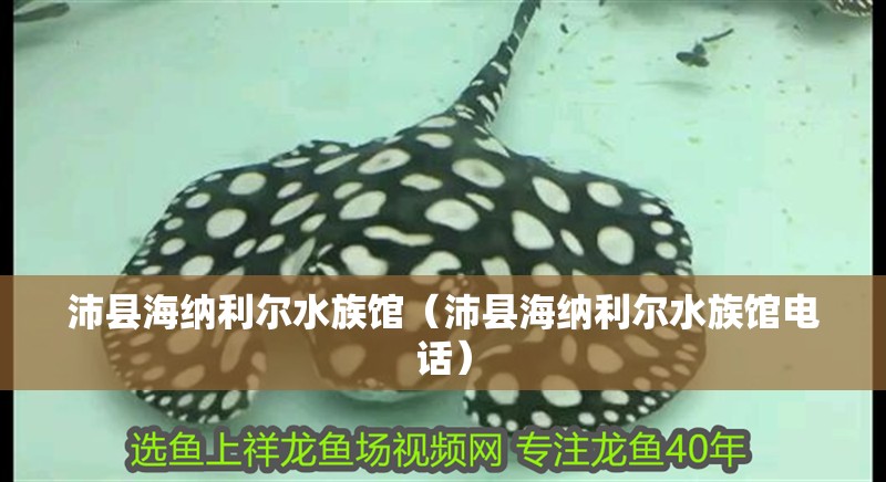 沛縣海納利爾水族館（沛縣海納利爾水族館電話）
