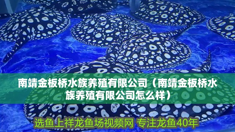 南靖金板橋水族養(yǎng)殖有限公司（南靖金板橋水族養(yǎng)殖有限公司怎么樣）