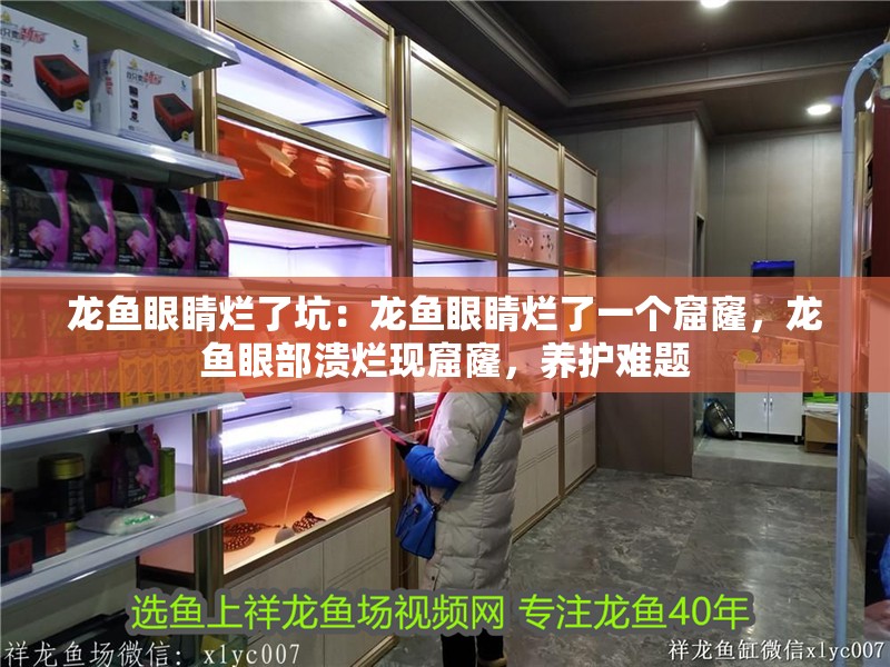 龍魚眼睛爛了坑：龍魚眼睛爛了一個(gè)窟窿，龍魚眼部潰爛現(xiàn)窟窿，養(yǎng)護(hù)難題