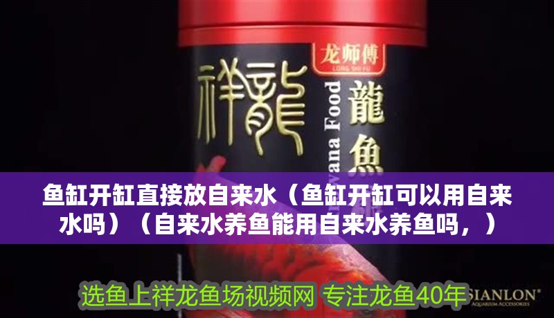 魚缸開缸直接放自來水（魚缸開缸可以用自來水嗎）（自來水養(yǎng)魚能用自來水養(yǎng)魚嗎，）