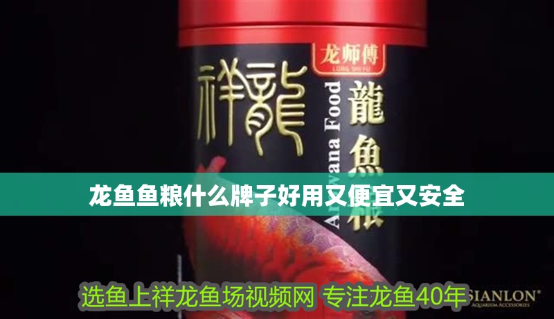 龍魚魚糧什么牌子好用又便宜又安全