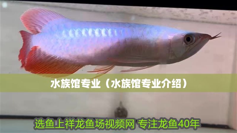 水族館專業（水族館專業介紹）