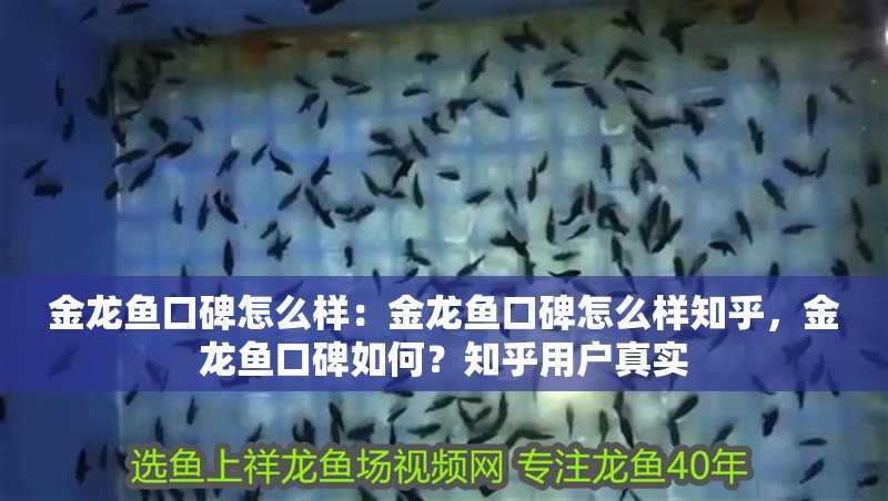 金龍魚口碑怎么樣：金龍魚口碑怎么樣知乎，金龍魚口碑如何？知乎用戶真實