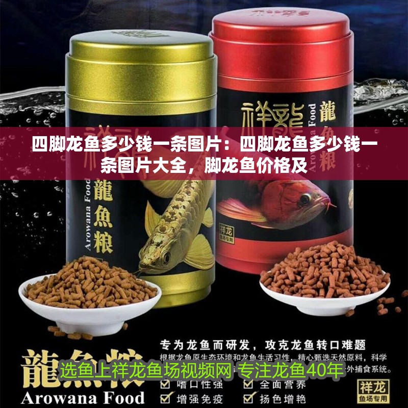 四腳龍魚多少錢一條圖片：四腳龍魚多少錢一條圖片大全，腳龍魚價格及