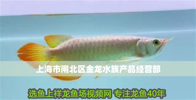 上海市閘北區(qū)金龍水族產(chǎn)品經(jīng)營(yíng)部