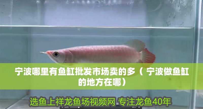 寧波哪里有魚缸批發市場賣的多（ 寧波做魚缸的地方在哪）