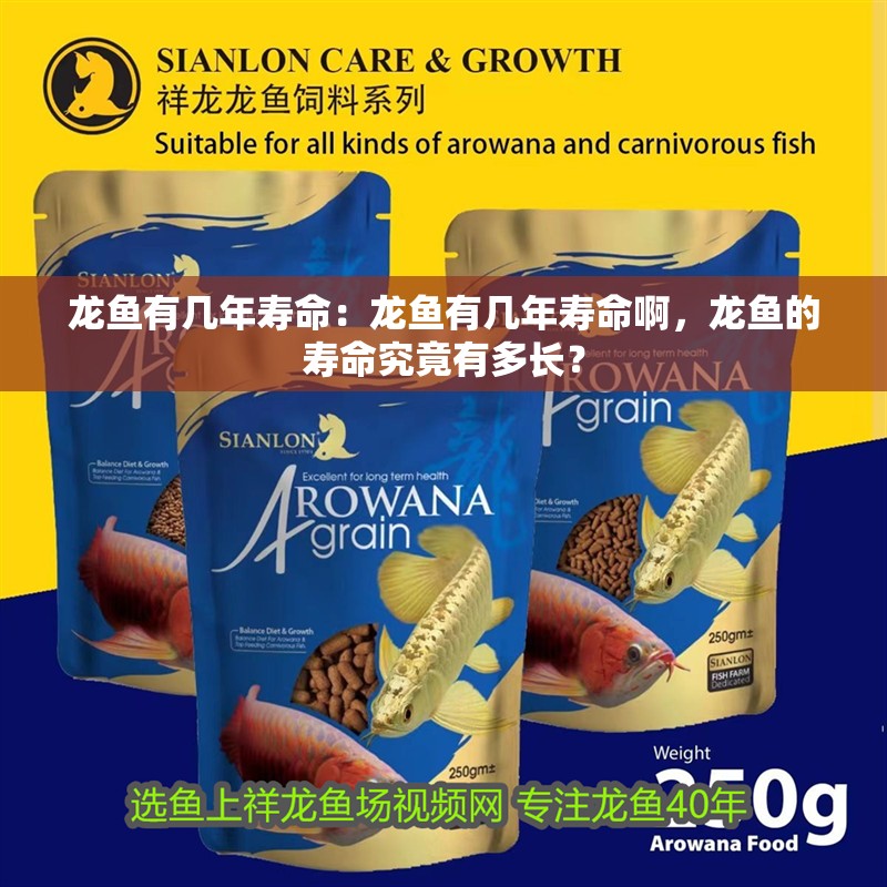 龍魚有幾年壽命：龍魚有幾年壽命啊，龍魚的壽命究竟有多長？