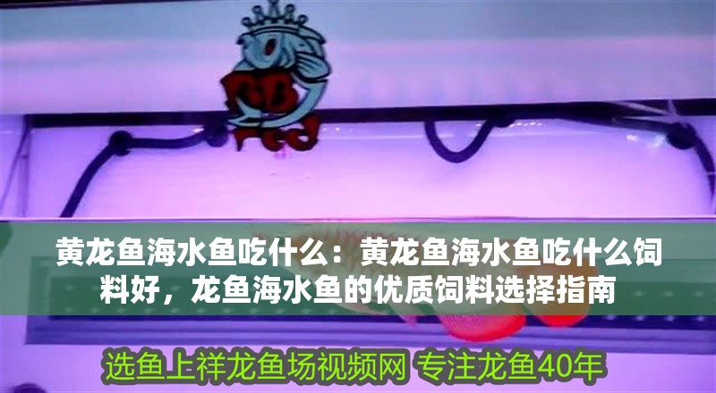 黃龍魚海水魚吃什么：黃龍魚海水魚吃什么飼料好，龍魚海水魚的優質飼料選擇指南