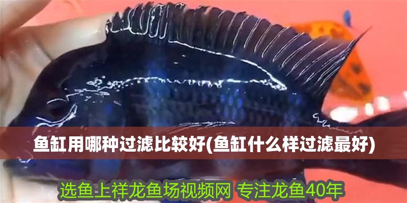 魚缸用哪種過濾比較好(魚缸什么樣過濾最好)