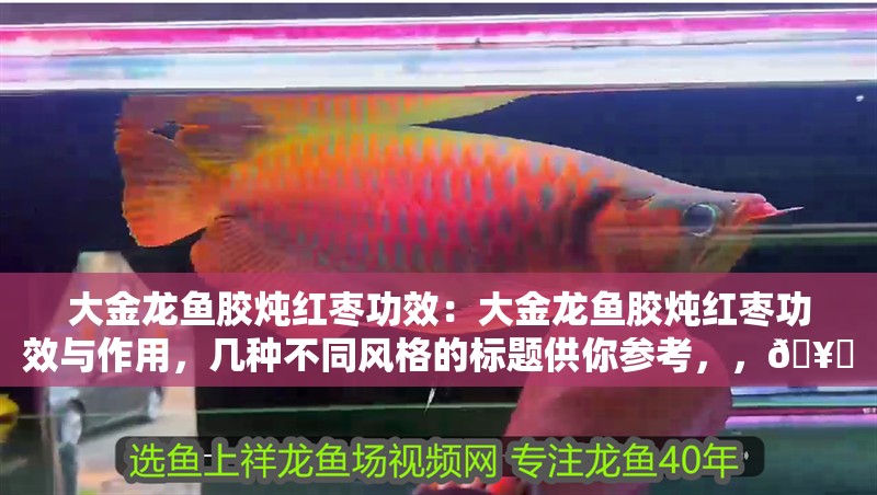 大金龍魚膠燉紅棗功效：大金龍魚膠燉紅棗功效與作用，幾種不同風格的標題供你參考，，??滋補佳品！大金龍魚膠燉紅棗的神奇功效全解析，??揭秘，大金龍魚膠燉紅棗的超贊功效與作用！，??必知！大金龍魚膠燉紅棗有哪些驚人功效？