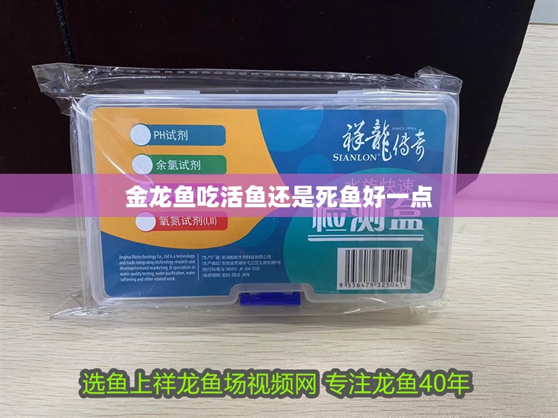 金龍魚吃活魚還是死魚好一點 金龍魚吃活魚還是死魚好一點 龍魚百科 第2張