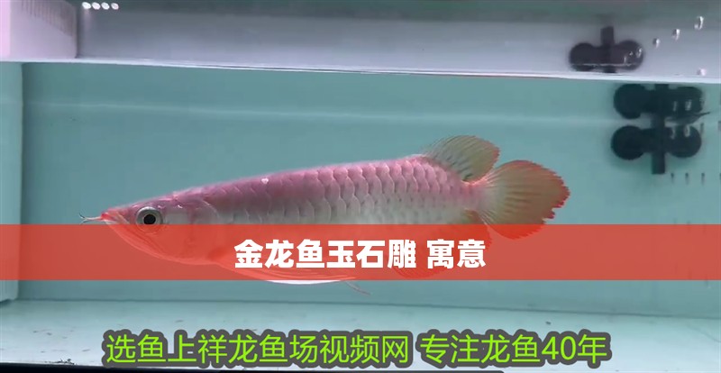 金龍魚玉石雕 寓意